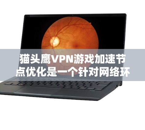 猫头鹰VPN游戏加速节点优化是一个针对网络环境优化的措施，旨在提升下载速度和稳定性。以下是详细的步骤和内容