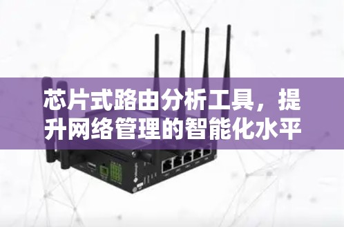 芯片式路由分析工具，提升网络管理的智能化水平