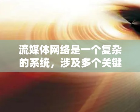 流媒体网络是一个复杂的系统，涉及多个关键领域，每个领域都有其特定的任务和挑战。以下是对流媒体网络的详细总结