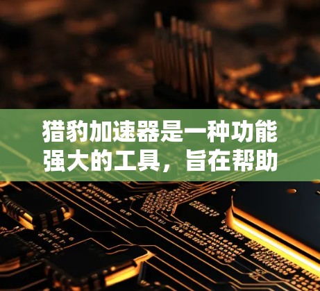 猎豹加速器是一种功能强大的工具，旨在帮助用户更快地完成下载任务。以下是一个详细的步骤指南，帮助您使用猎豹加速器