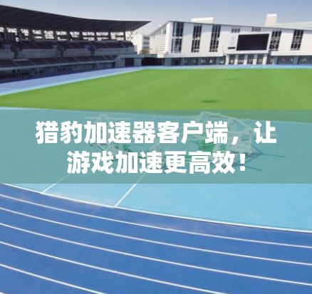 猎豹加速器客户端，让游戏加速更高效！