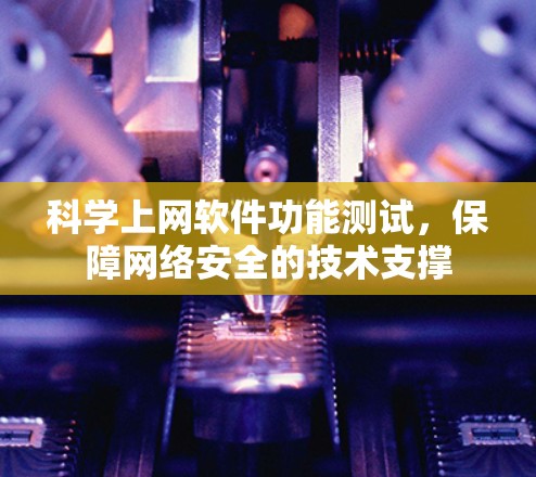 科学上网软件功能测试，保障网络安全的技术支撑